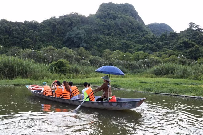 Đến với Vườn chim Thung Nham, phường Nam Hoa Lư, tỉnh Ninh Bình, du khách có cơ hội được chiêm ngưỡng tận mắt vẻ đẹp hoang dã của các loài chim. (Ảnh: Thùy Dung/TTXVN)
