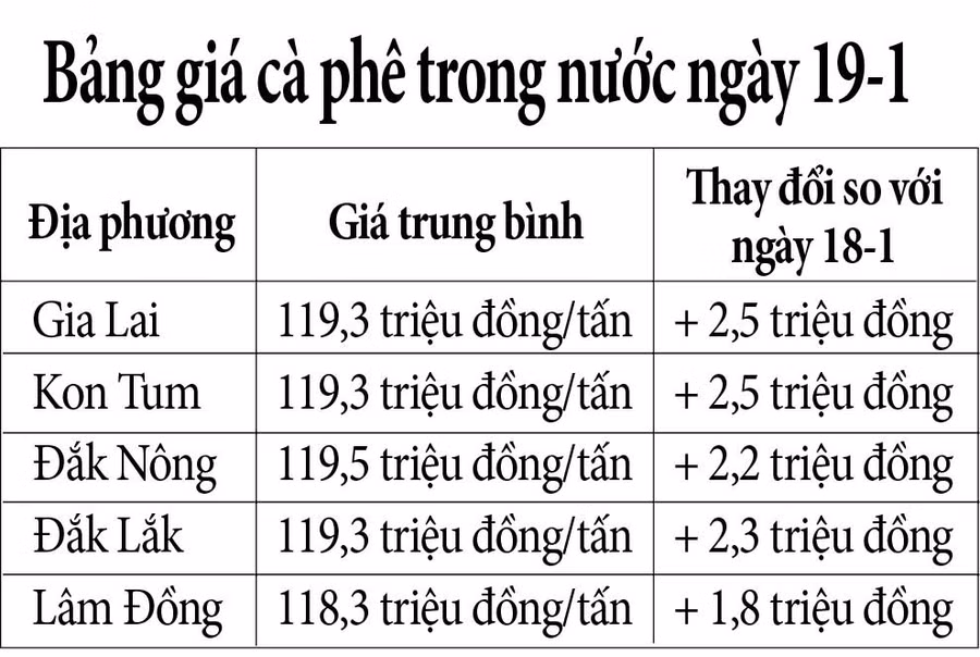 bang-cf.jpg