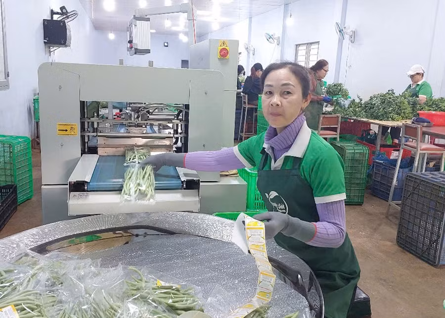 day-manh-ung-dung-khoa-hoc-cong-nghe-trong-nong-nghiep-bg.jpg
