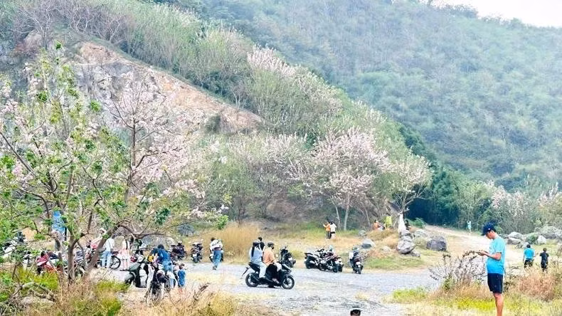 4baria.jpg