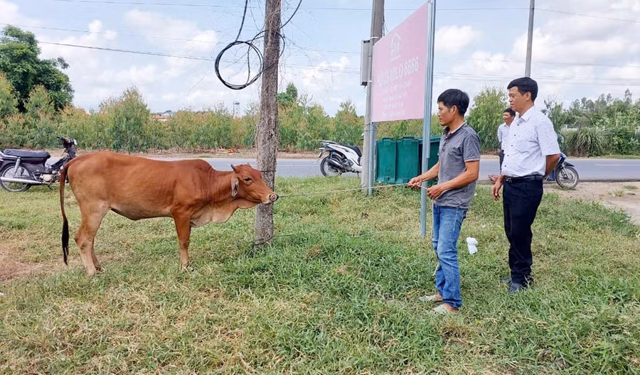 ia-pa-ho-tro-sinh-ke-giup-nguoi-dan-vuon-len-bg-9839.jpg