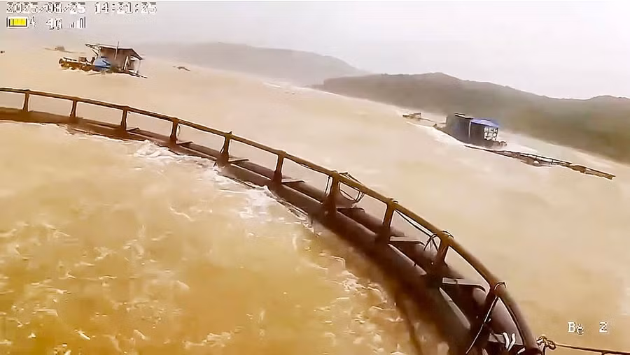 Sóng bão đánh nát các lồng bè nuôi cá trên vịnh Hòn La, Quảng Trị. Ảnh: MINH PHONG