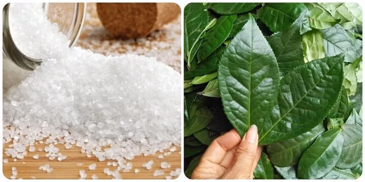 nuoc-che-xanh-cho-them-muoi-co-tac-dung-gidd-4396.jpg