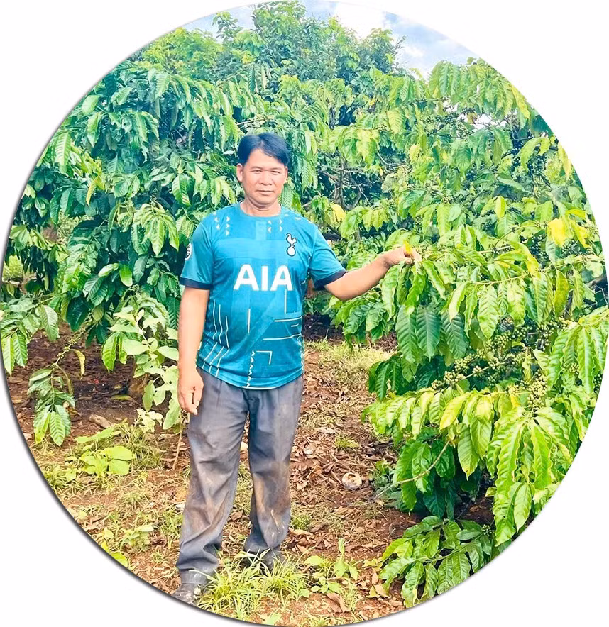 Ông Rơ Châm Nek (làng Triêl, xã Ia Pnôn) bên vườn cà phê gia đình. Ảnh: Phương Dung