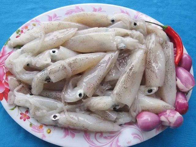 Mực tươi vừa vớt lên từ biển. ẢNH: TRANG THY