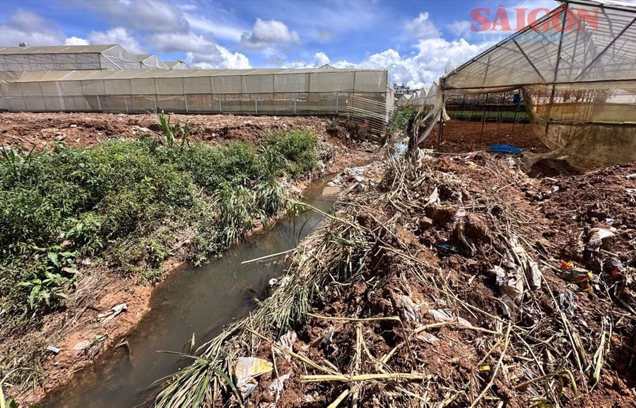 Khu vực sản xuất của người dân phía thượng nguồn nhiều lần bị nước dâng ngập do hành lang thoát nước không kịp tiêu thoát khi mưa lớn. Ảnh: ĐOÀN KIÊN