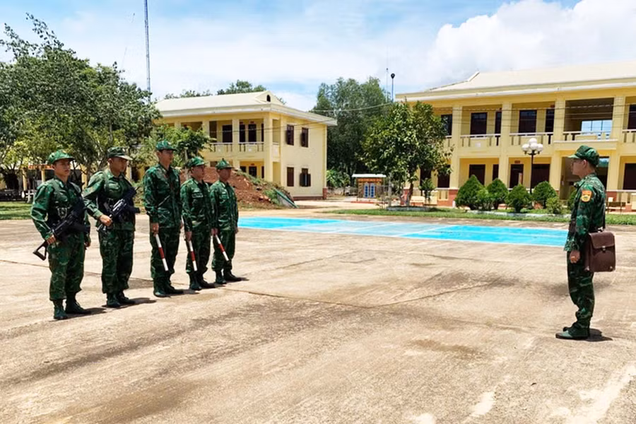 44t.jpg