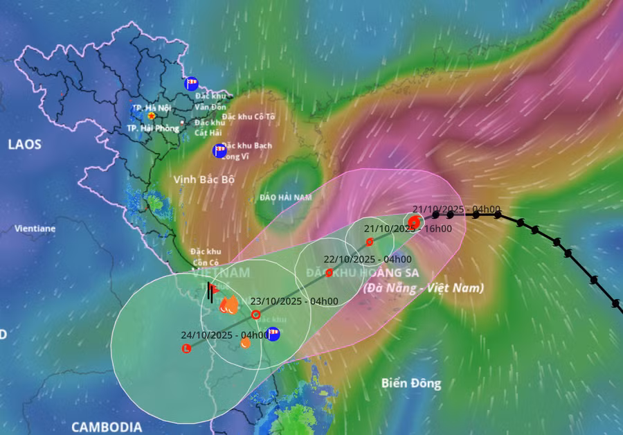 du-bao-duong-di-bao-so-12.jpg