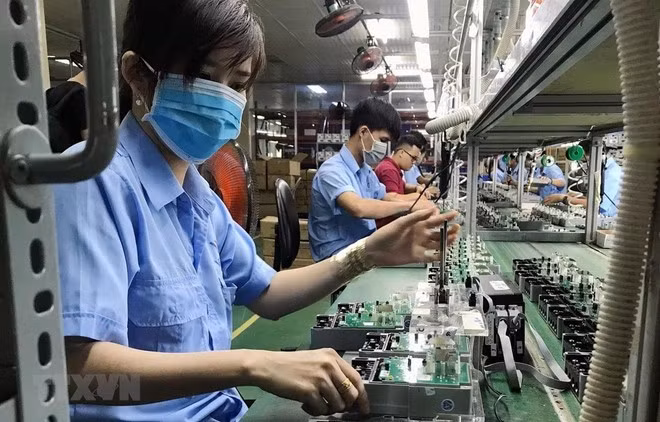 Mức thuế đề xuất cho Việt Nam cao hơn đáng kể so với các đối thủ cạnh tranh trực tiếp trong khu vực ASEAN và thậm chí cả Trung Quốc. (Ảnh: Vietnam+)