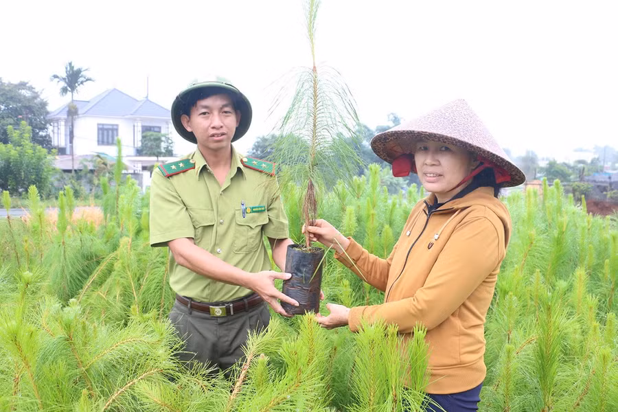 1bg-cac-don-vi-chuc-nang-tich-cuc-phoi-hop-trong-kiem-tra-thao-go-vuong-mac-ve-dat-dai-kiem-soat-chat-luong-cay-giong-tao-moi-dieu-kien-thuan-loi-de-cac-nha-dau-tu.jpg