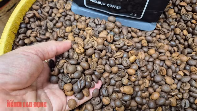 Giá cà phê trong nước ở thời điểm hiện tại đang cao hơn giá nước ngoài