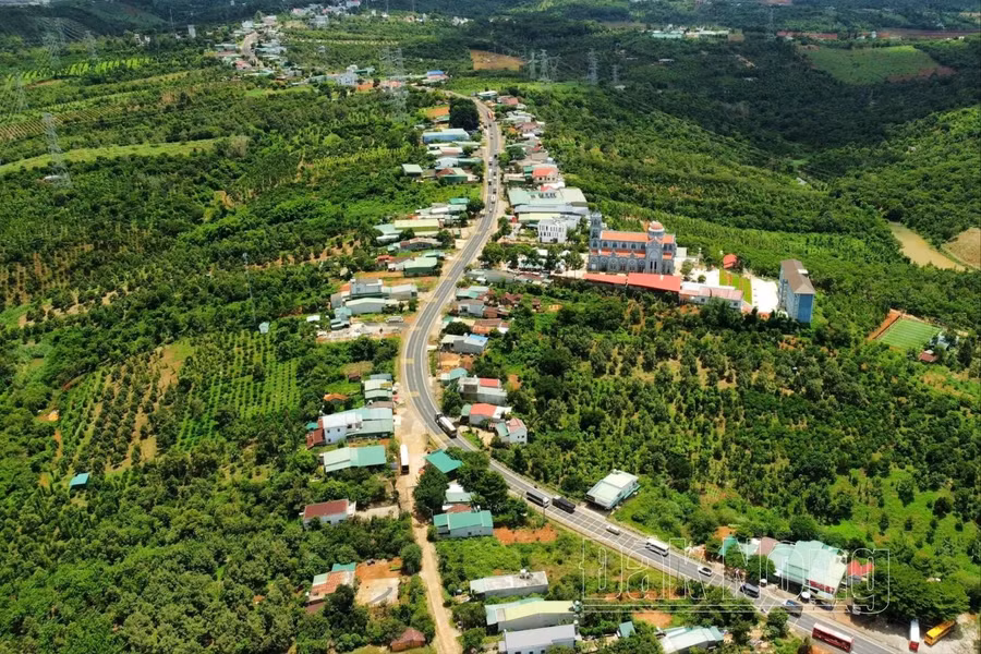 1a-9355.jpg