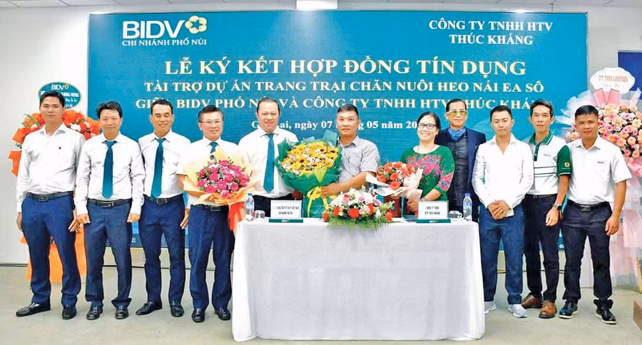 2-3-bidv.jpg