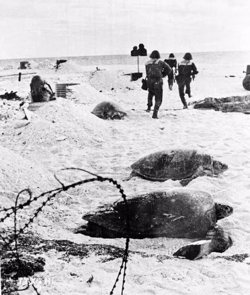 truong-sadd.jpg