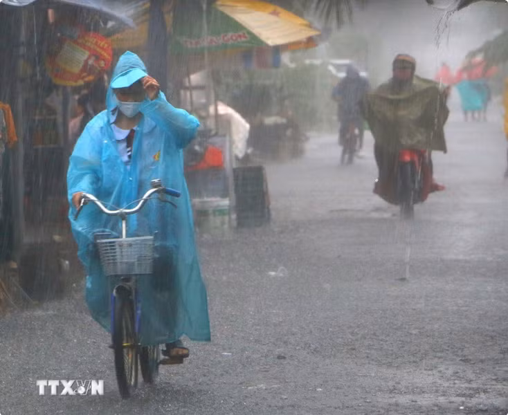 (Ảnh: Duy Khương/TTXVN)