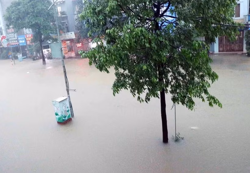 14-tinh.jpg