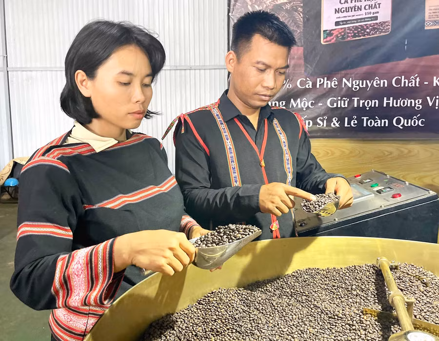 Vợ chồng anh Siu Sắt - chị Rơ Châm Awưnh kiểm tra chất lượng hạt cà phê. Ảnh: P.D