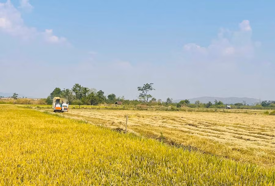 Hướng dẫn người dân phát triển lúa nước, nâng cao hiệu quả sản xuất kinh tế là một trong những nội dung trọng tâm được các chi bộ khu dân cư ở xã biên giới Ia Mơ tập trung. Ảnh: P.D