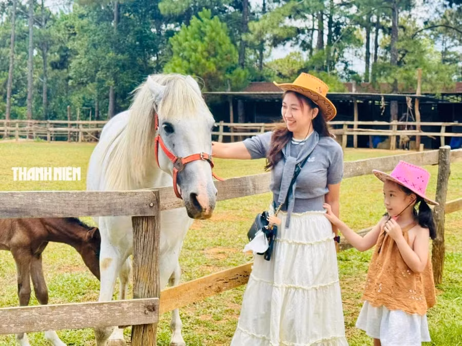 Chị Nguyễn Thị Thanh Thảo cùng con gái chụp ảnh với những chú ngựa. ẢNH: HẢI PHONG