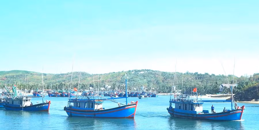 Chính sách hỗ trợ giải bản tàu cá và chuyển đổi nghề cho ngư dân thể hiện quyết tâm của tỉnh trong phát triển thủy sản theo hướng bền vững. Ảnh: N.T