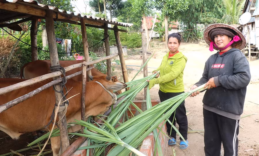 3tchi-dinh-thi-sieng-ben-phai-o-lang-po-nang-xa-tu-an-thi-xa-an-khe-cham-soc-dan-bo-duoc-ho-tro-anh-ngoc-minh.jpg
