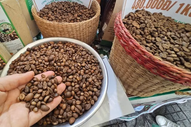 Giá cà phê tiếp tục lập kỷ lục