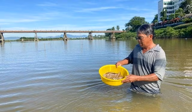 Thành quả của ông Định sau khi kiểm tra hết các bẫy đặt ở sông Trà Khúc. ẢNH: HẢI PHONG