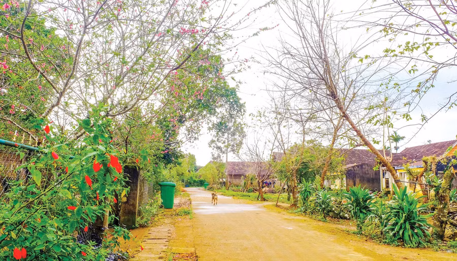 Nét đẹp yên bình ở Vĩnh Sơn. Ảnh: Đoan Ngọc