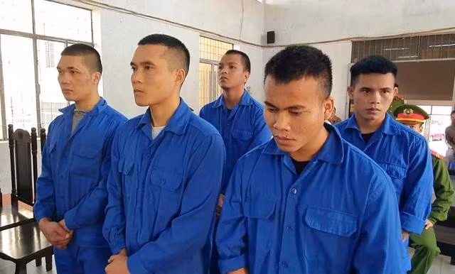 xin-ma-tuy.jpg