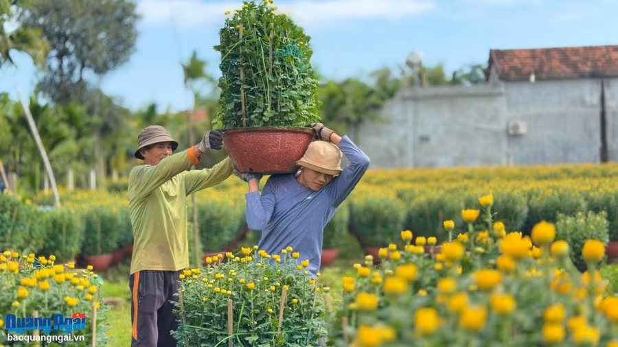 nghe-cong-hoa-tet-dd.jpg