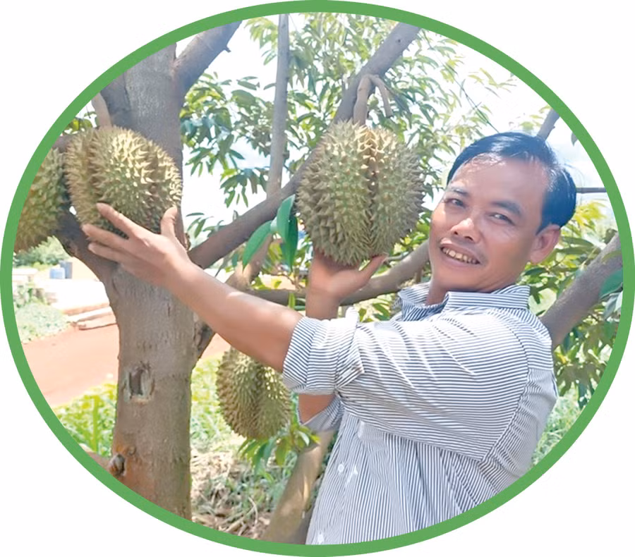 1-hoang-van-tron.jpg