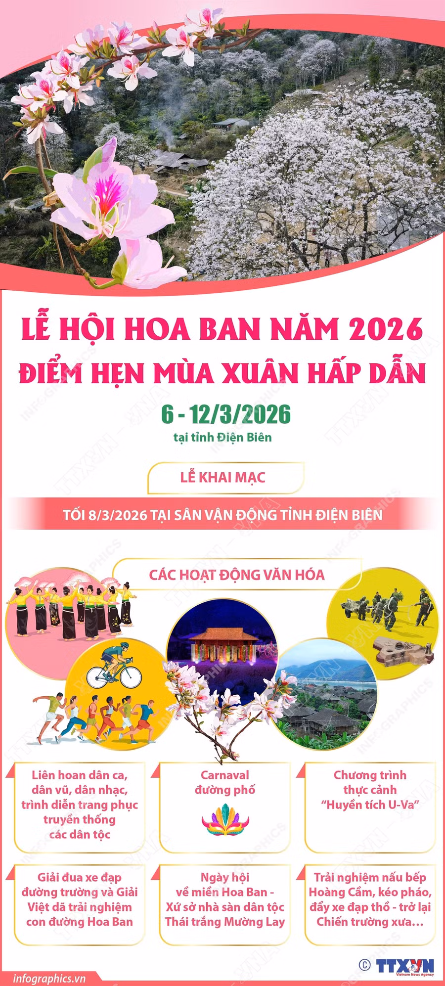 hoa-ban-inf.jpg