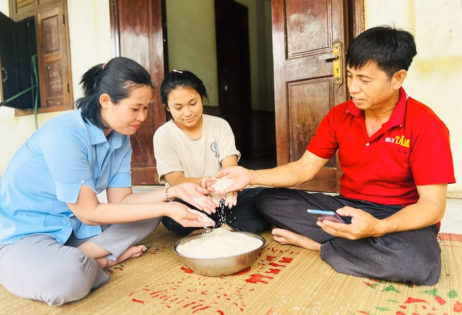gao-dai-thom-8-ia-lau-vuon-ra-thi-truong-bg.jpg