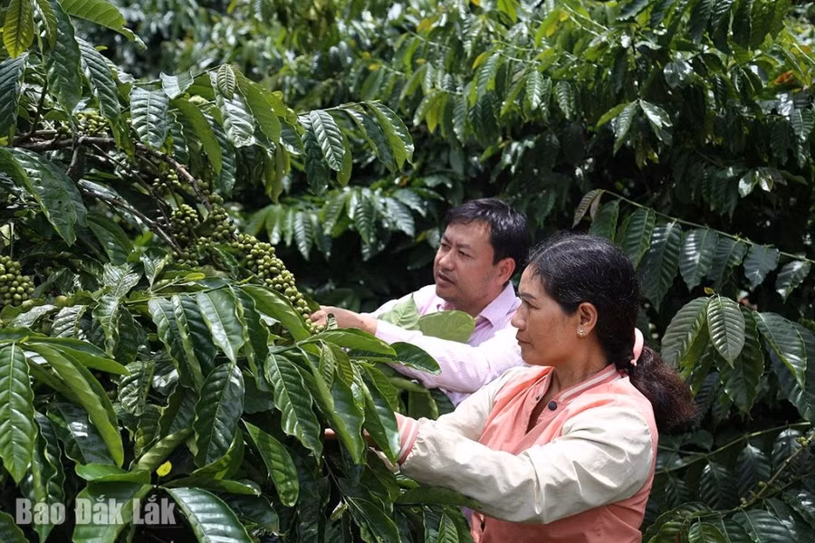 chi-thi-40-ps-9673-1074.jpg