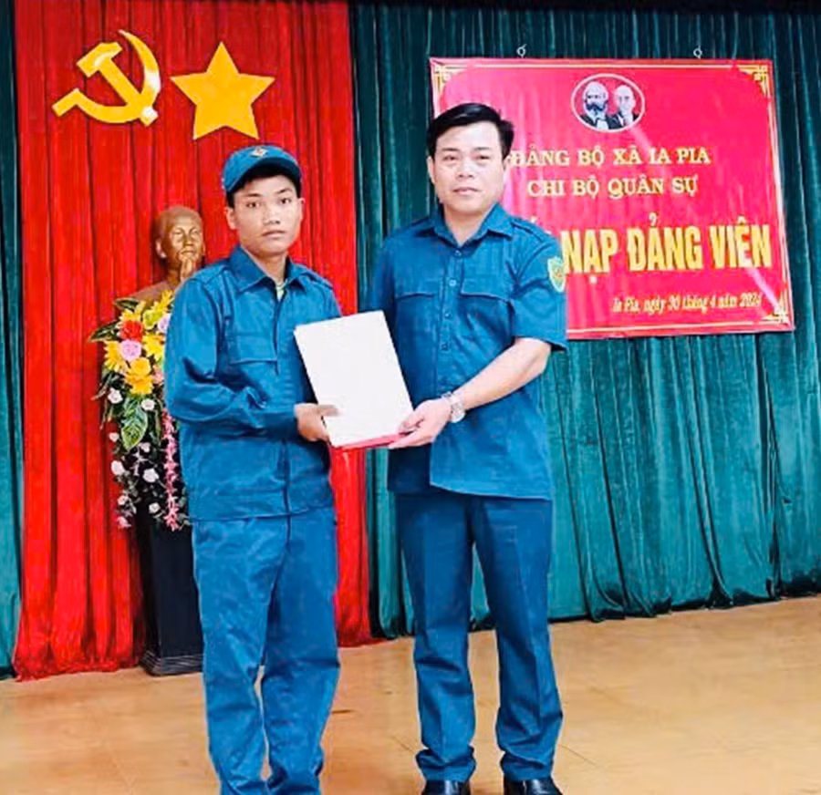 2pdung-537-6581.jpg