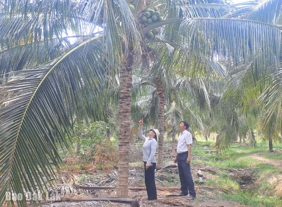 2thithi-40-8101-8135.jpg