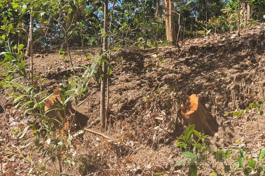 4daknong.jpg