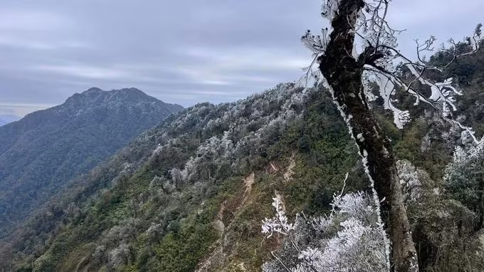 nua-cuoi-thang-2dd.jpg