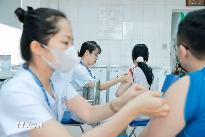 (Ảnh: TTXVN)