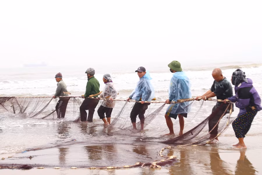 Cũng đang kéo lưới, ông Nguyễn Văn Hùng chia sẻ, để kéo được mẻ lưới vào bờ, người thợ phải quấn đai quanh thắt lưng, đầu dây đai gắn vào dây thừng phía trên tấm lưới. Khi kéo, bám chặt hai tay vào dây lưới, mặt hướng ra biển, nghiêng người về phía sau, kéo giật lùi rê lưới từ biển vào bờ từng nhịp đều nhau theo con sóng.