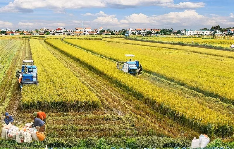 nhieu-uu-dai-doi-voi-doanh-nghiep-dau-tu-vao-nong-nghiep-anh-nguon-vneconomyvn.png