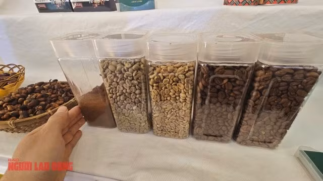 Giá cà phê đã vượt mốc trước bão thuế quan.