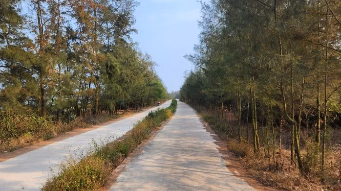 Tuyến đường ven biển khu dịch vụ Trung Dương - Trạm Biên phòng Đức Lợi