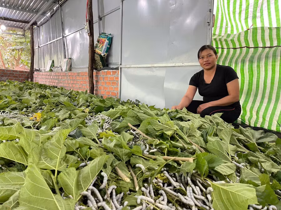sau-1-nam-gan-bo-voi-nghe-trong-dau-nuoi-tam-gia-dinh-chi-ha-thi-hanh-thon-son-binh-xa-ayun-ha-co-thu-nhap-on-dinh-nuoi-con-an-hoc-anh-vu-chi.jpg