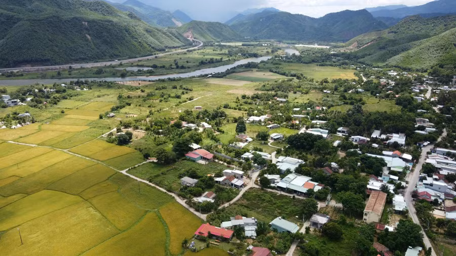 Người dân H.Hòa Vang đã đồng thuận "vá" rừng bằng cây gỗ lớn, đó là kết quả mang ý nghĩa lớn của công tác dân vận trong bảo vệ rừng và sự nỗ lực của địa phương trong suốt thời gian qua. Ảnh: N.H