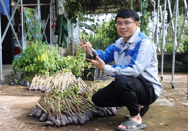 Các loại cây bản địa được Hải trồng để nhân giống bán cho nông dân
