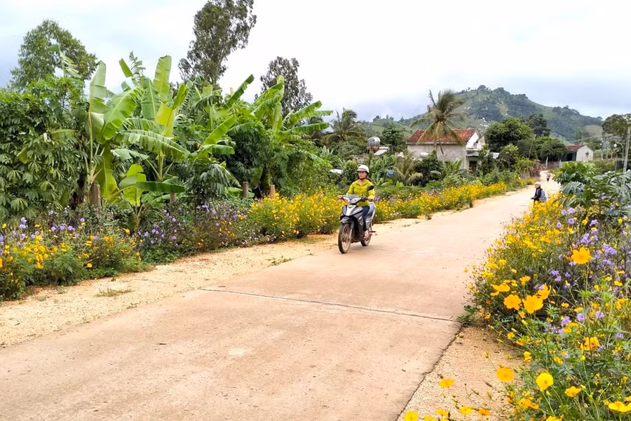 2-qua-tuyen-truyen-van-dong-cua-nguoi-co-uy-tin-ba-con-lang-kdau-xa-kong-long-khong-huyen-kbang-chung-tay-bao-ve-moi-truong-trong-hoa-to-dep-duong-lang-anh-ngoc-minh.jpg