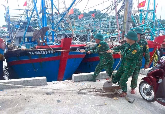lucluongvn.jpg