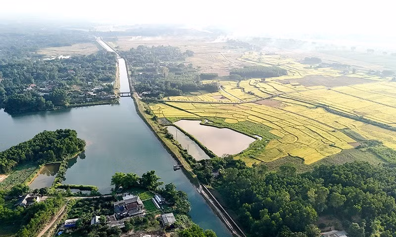 phong-sudd.jpg