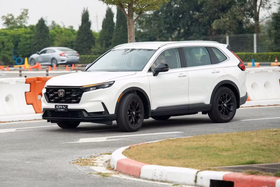 mau-suv-a6.jpg